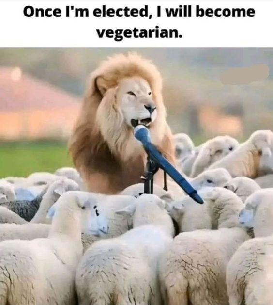 to post Facebook Animal Meme for lion heart