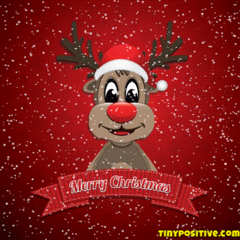 Hilarious Animated Christmas GIFs for WhatsApp to Spark a Laugh