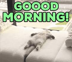 Good Morning GIFs Find & Share on GIPHY Copy