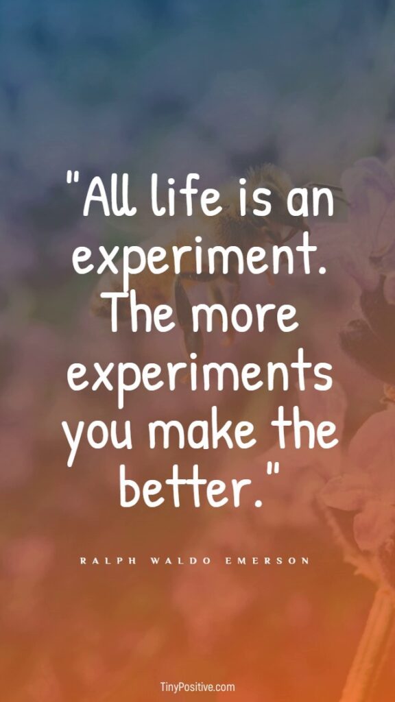 quotes to overcome the fear of starting over image