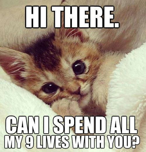 Supportive partner memes for stressful days