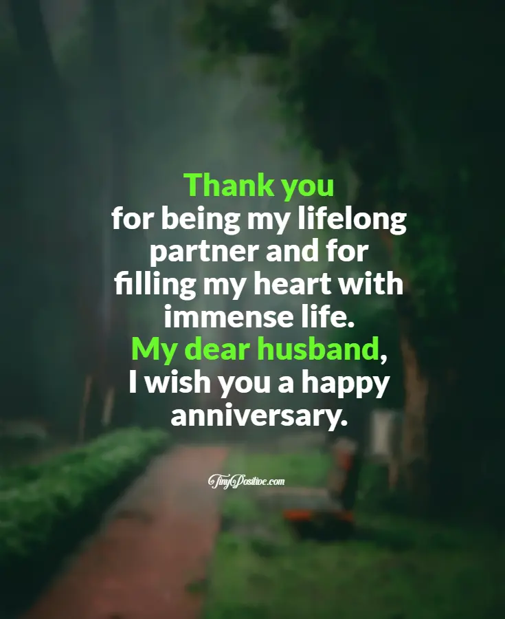An anniversary message for a husband set over a misty, blurred park background.