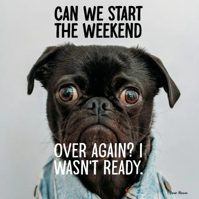 A close-up of a sad black pug wearing a denim jacket with the text 'CAN WE START THE WEEKEND OVER AGAIN? I WASN'T READY.'