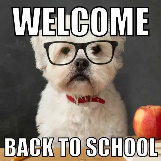 actually funny school memes