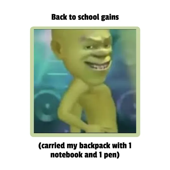 funny memes about school stress funny memes about school stress