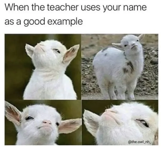 funny memes about school funny memes about school