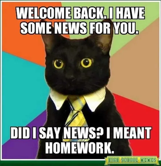 funny memes to dress up as for school funny memes to dress up as for school