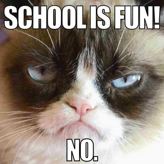 funny school memes funny school memes