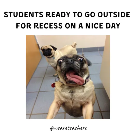 hilarious funny school memes hilarious funny school memes