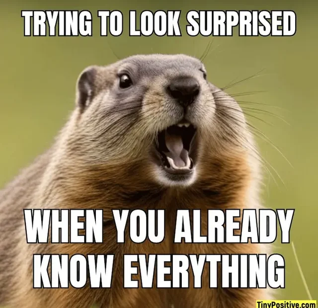 A meme featuring a groundhog or prairie dog looking wide-eyed with its mouth wide open as if dramatically shocked, with impact font text reading 'TRYING TO LOOK SURPRISED WHEN YOU ALREADY KNOW EVERYTHING'. A relatable humor meme depicting the forced expression of fake shock