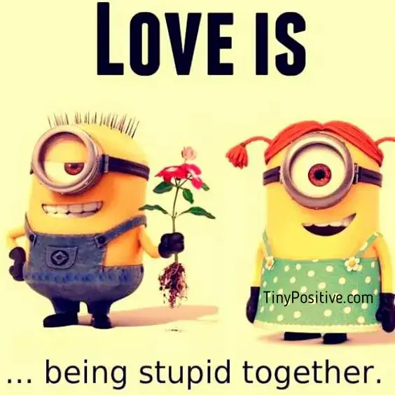 A funny romantic meme reading 'LOVE IS ... being stupid together.' featuring a male Minion offering an uprooted plant to a female Minion in a polka dot dress.
