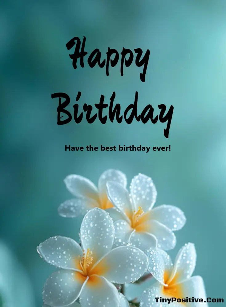 A birthday greeting card reading 'Happy Birthday Have the best birthday ever!' on a soft teal background with dew-kissed white frangipani flowers.