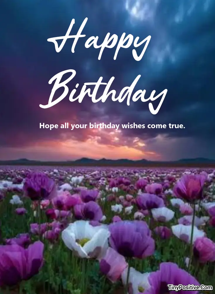 A serene birthday greeting card featuring a vast field of purple and white poppy flowers at sunset with cursive text 'Happy Birthday' and 'Hope all your birthday wishes come true.'.