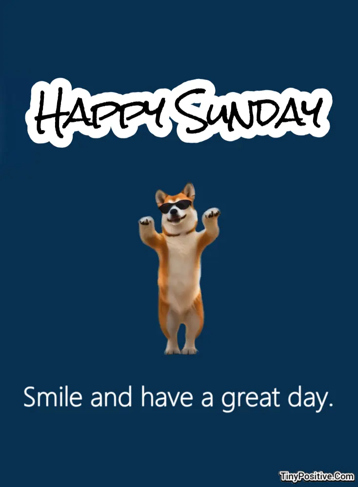A cheerful Sunday greeting card reading 'HAPPY SUNDAY. Smile and have a great day.' featuring a cute Shiba Inu or Corgi dog wearing sunglasses standing on two legs on a dark navy blue background.