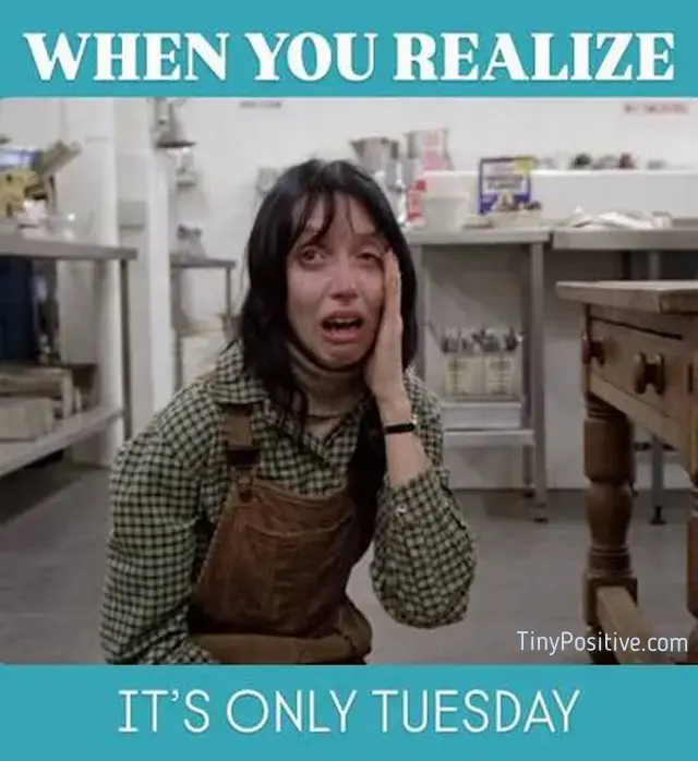 A funny movie meme featuring Shelley Duvall in distress from The Shining with teal banners above and below reading 'WHEN YOU REALIZE IT'S ONLY TUESDAY'.