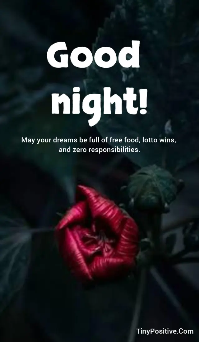 A funny good night quote card set against a dark natural background with deep green leaves and a striking red flower bud. Large white bold text at the top reads: Good night! followed by white sans-serif text: May your dreams be full of free food, lotto wins, and zero responsibilities. The TinyPositive.Com watermark is in the lower right corner.