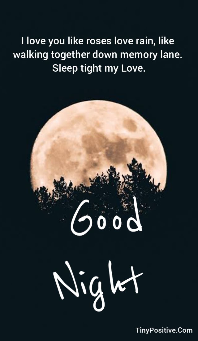 A comforting good night quote card set against a dark night sky with a large, warm full moon over a silhouette of a pine forest. Large white text at the top reads: Good Night followed by a poem: I love you like roses love rain, like walking together down memory lane. Sleep tight my Love. In the lower center, a large white handwritten script reads Good Night with the TinyPositive.Com watermark at the bottom right.
