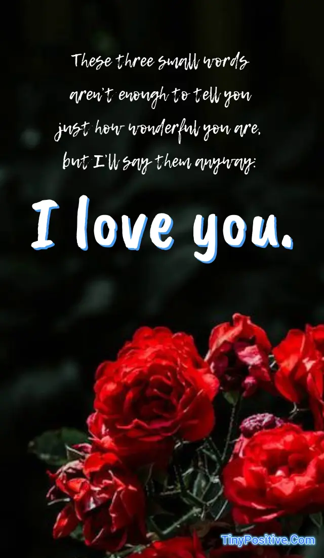 A romantic love quote graphic set against a dark moody background featuring vibrant red roses at the bottom. In the upper section, white handwritten script text reads: These three small words aren't enough to tell you just how wonderful you are, but I'll say them anyway: Followed by large, bold white text with a blue drop shadow reading: I love you. The TinyPositive.Com watermark is in the lower right corner.